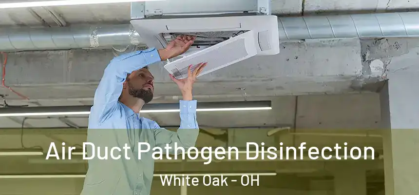  Air Duct Pathogen Disinfection White Oak - OH