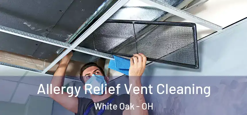  Allergy Relief Vent Cleaning White Oak - OH