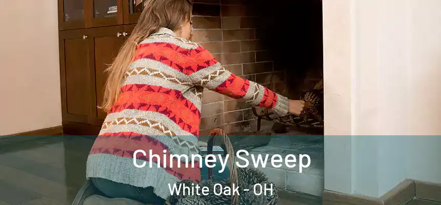  Chimney Sweep White Oak - OH