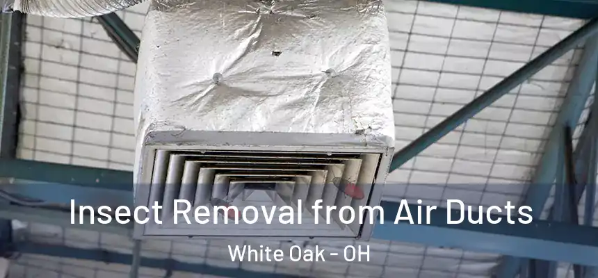 Insect Removal from Air Ducts White Oak - OH