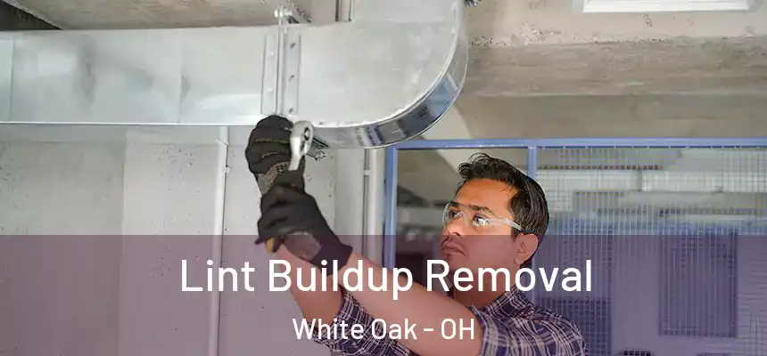  Lint Buildup Removal White Oak - OH