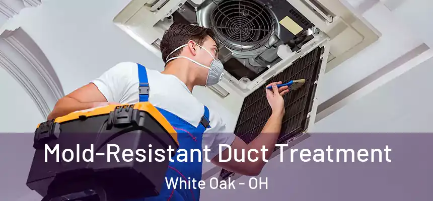  Mold-Resistant Duct Treatment White Oak - OH