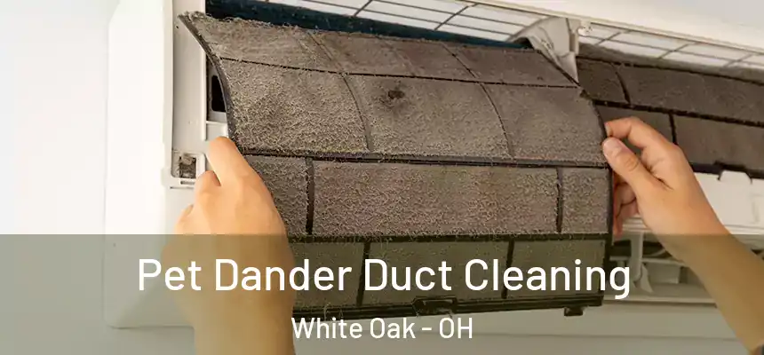  Pet Dander Duct Cleaning White Oak - OH