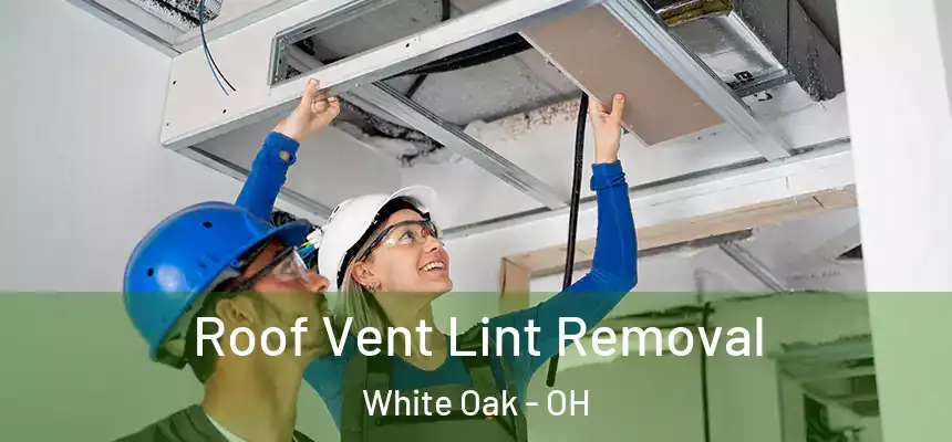  Roof Vent Lint Removal White Oak - OH