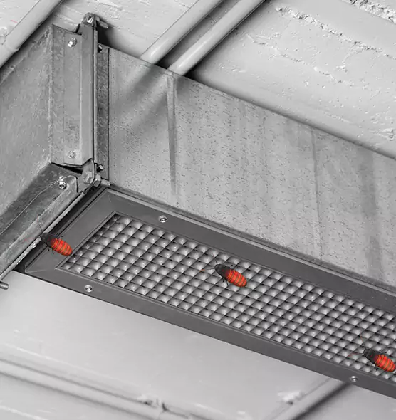 About Air Duct Cockroach Removal in White Oak, OH