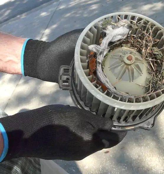 About Air Duct Rat Removal in White Oak, OH